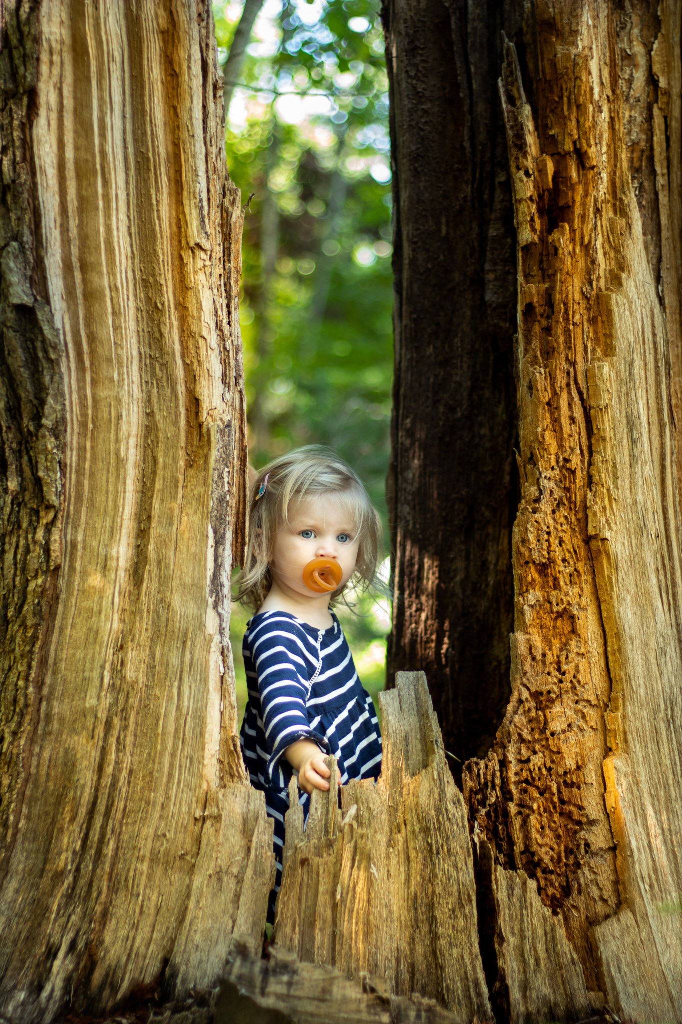 Rachel Louise Photography_Iowa City, Iowa_Family Photography