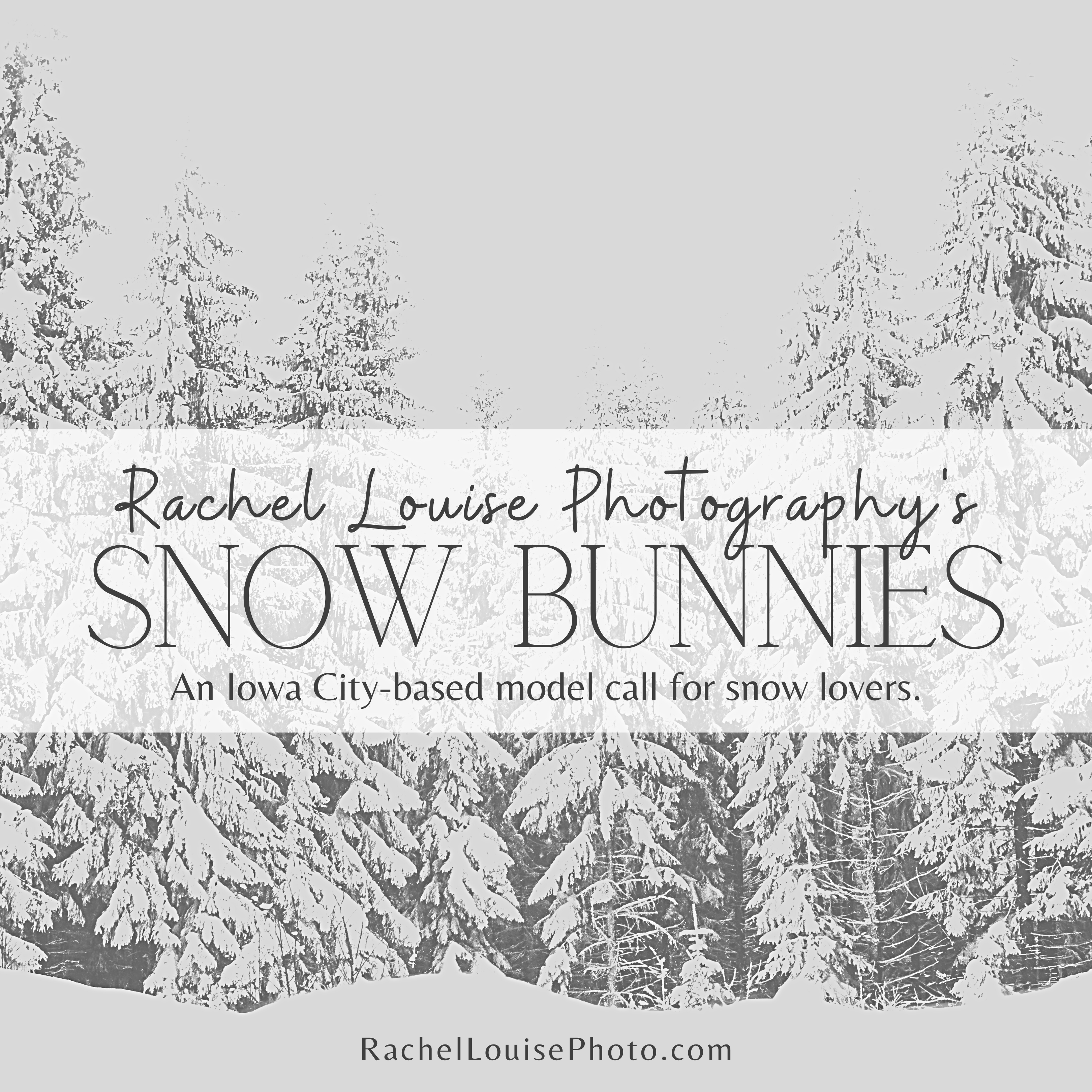 Iowa City, Iowa Photographer Model Call | Winter/Snow Photography | Rachel Louise Photography, Iowa